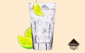 Finlandia & Kinley Tonic.jpg