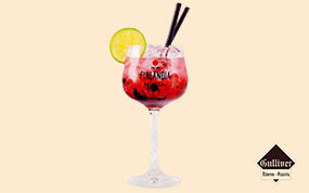 Finlandia Botanical Wildberry Vodka & Kinley Pink Aromatic Berry.jpg